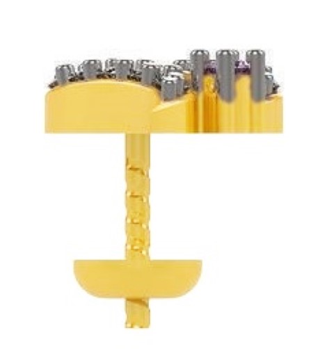 https://goldiam.co.il/sites/default/files/%20%D7%A9%D7%9D5_Y%20%281%29%20%28Small%29.jpg